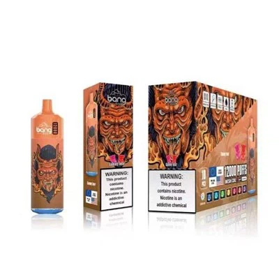 Bang Box 12000